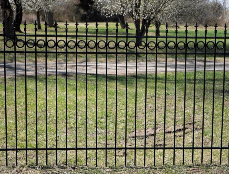 Iron Fence near Double Oak